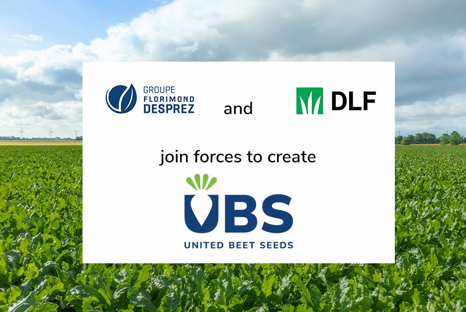 DLF Seeds A/S og Groupe Florimond Desprez forener kræfter og stifter United Beet Seeds