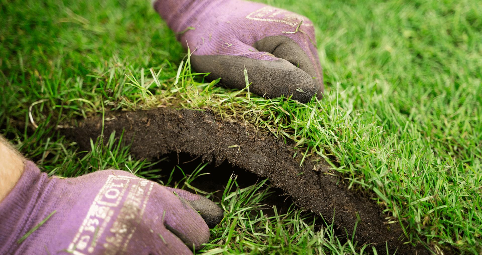 Stærkt og stabilt rullegræs - professionelt resultat hver gang