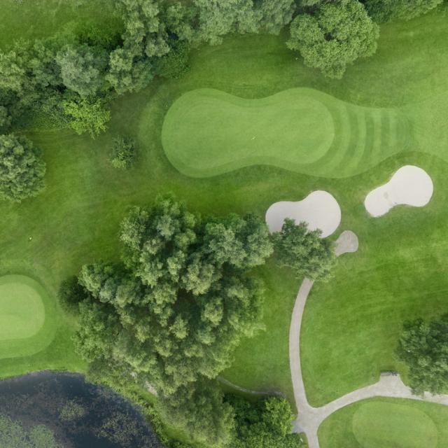 Nærfoto af græs på golfbane