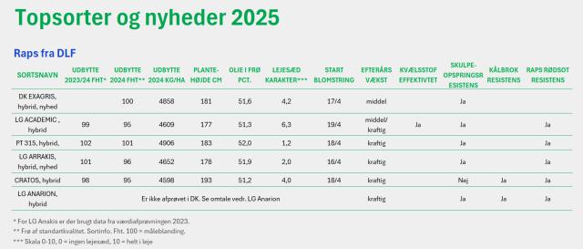Raps topsorter og nyheder 2025